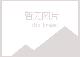 青海冰夏化学有限公司